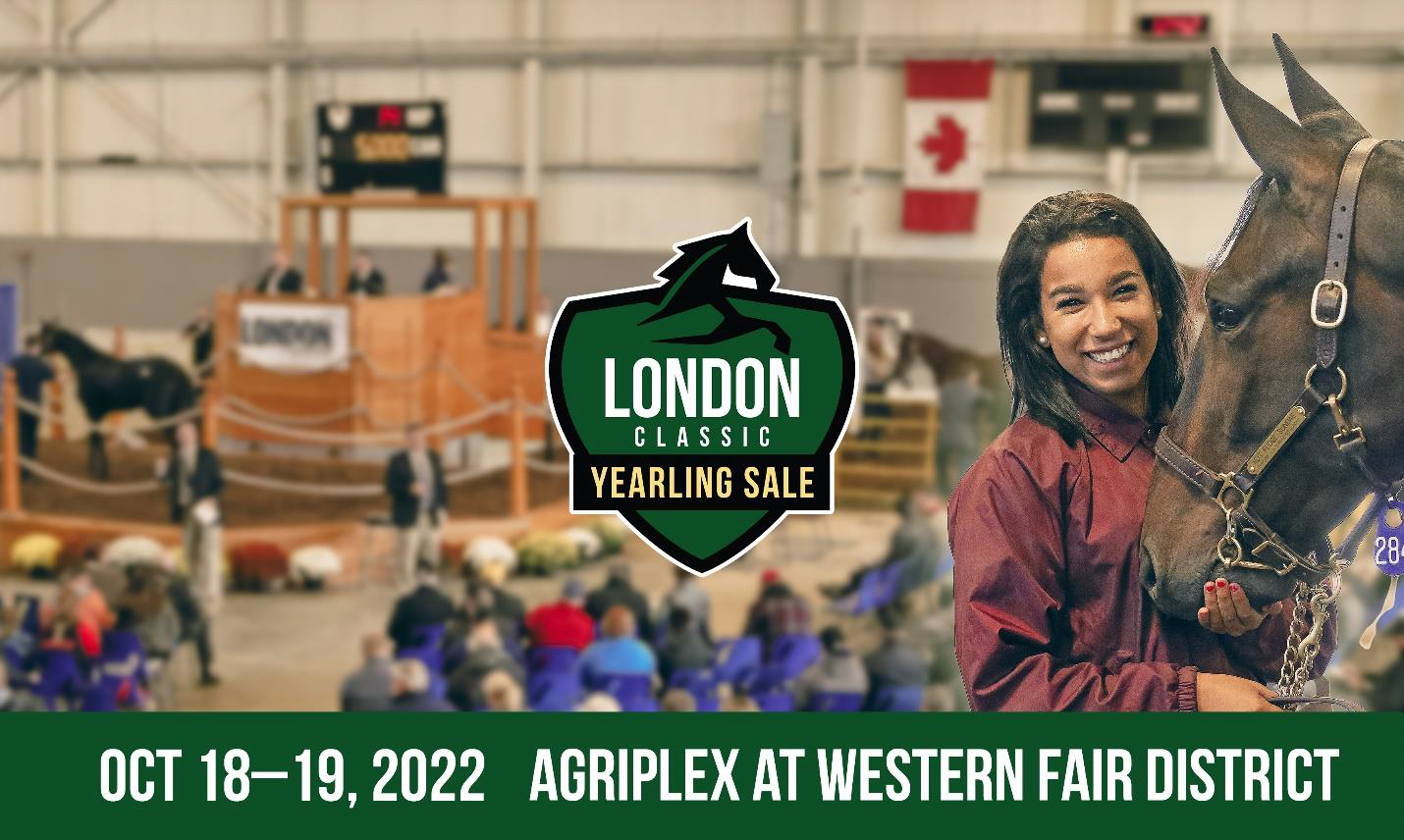 Western Fair District Welcomes Back Important Horse Racing Yearling Sale for 2022
