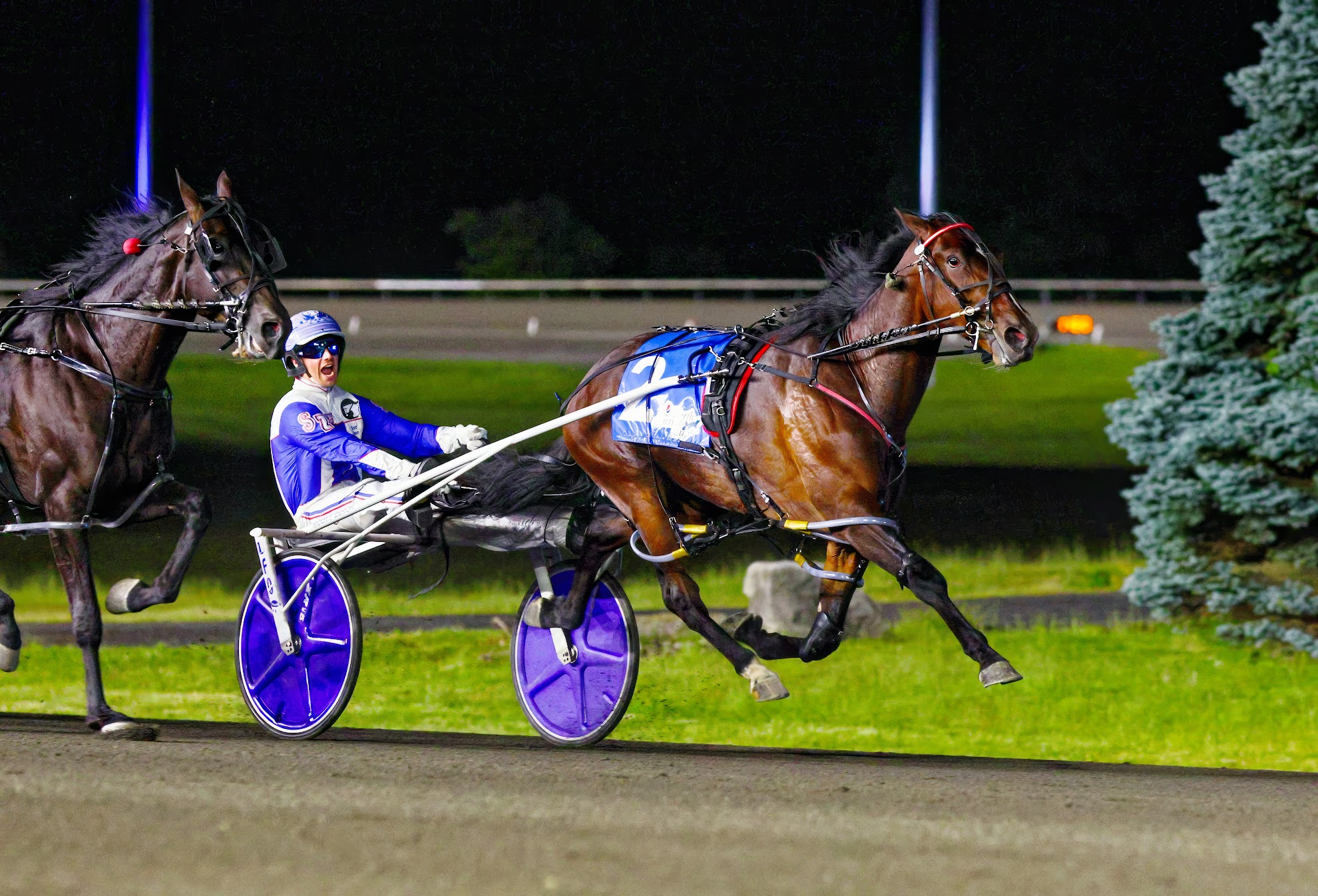 Woodbine releases 2024 Standardbred Stakes season schedule