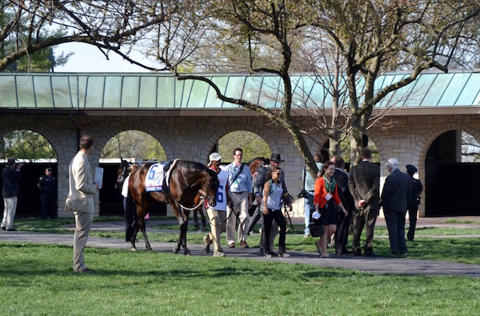 Ashley Mailloux: A lifelong horse racing thrill ride