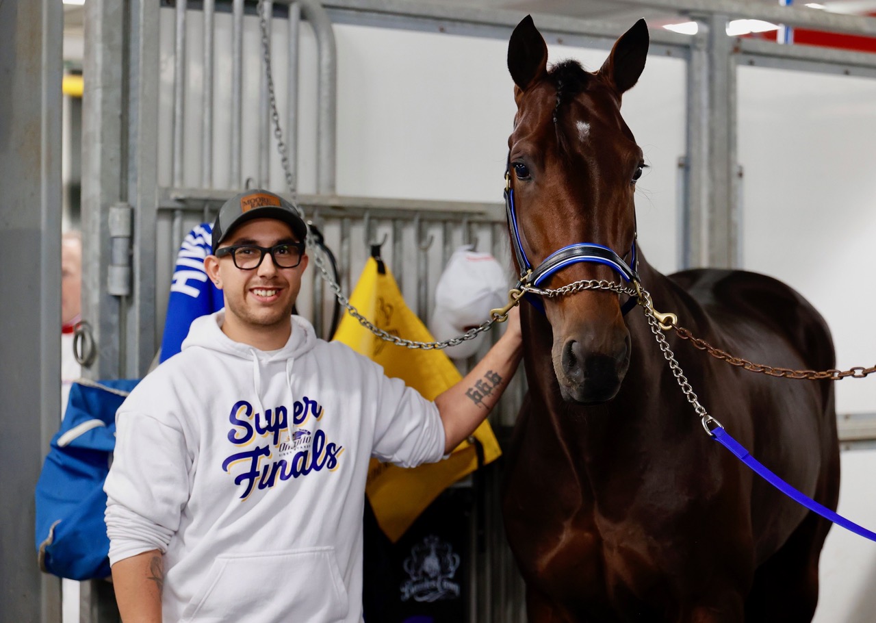 “Cheeky” Ontario-sired colt Beau Jangles in line for major year-end awards