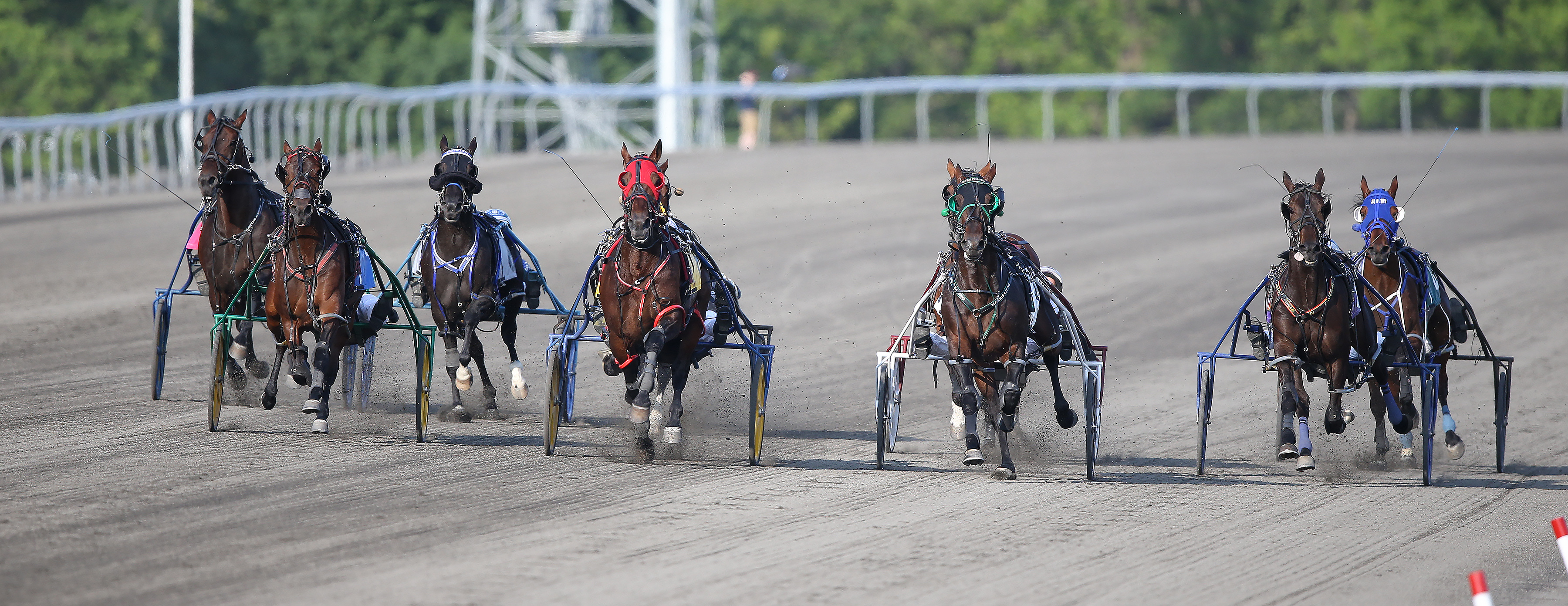 Update to the return to racing protocol announced for horses in Dorchester Downs Barn 1