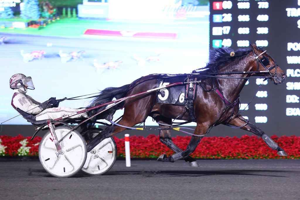 Grassroots champion invitees, tight Lampman Cup race highlight stellar storylines heading into Gold Super Finals