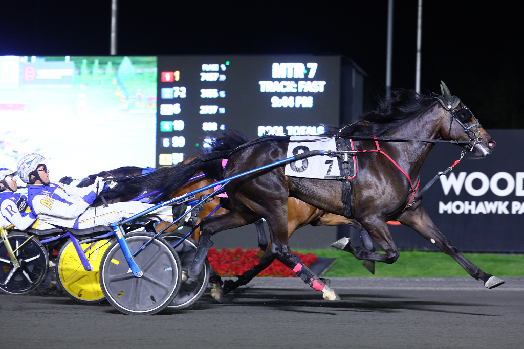 Monalishi’s connections hoping her competitive spirit will carry her to a Gold Super Finals victory
