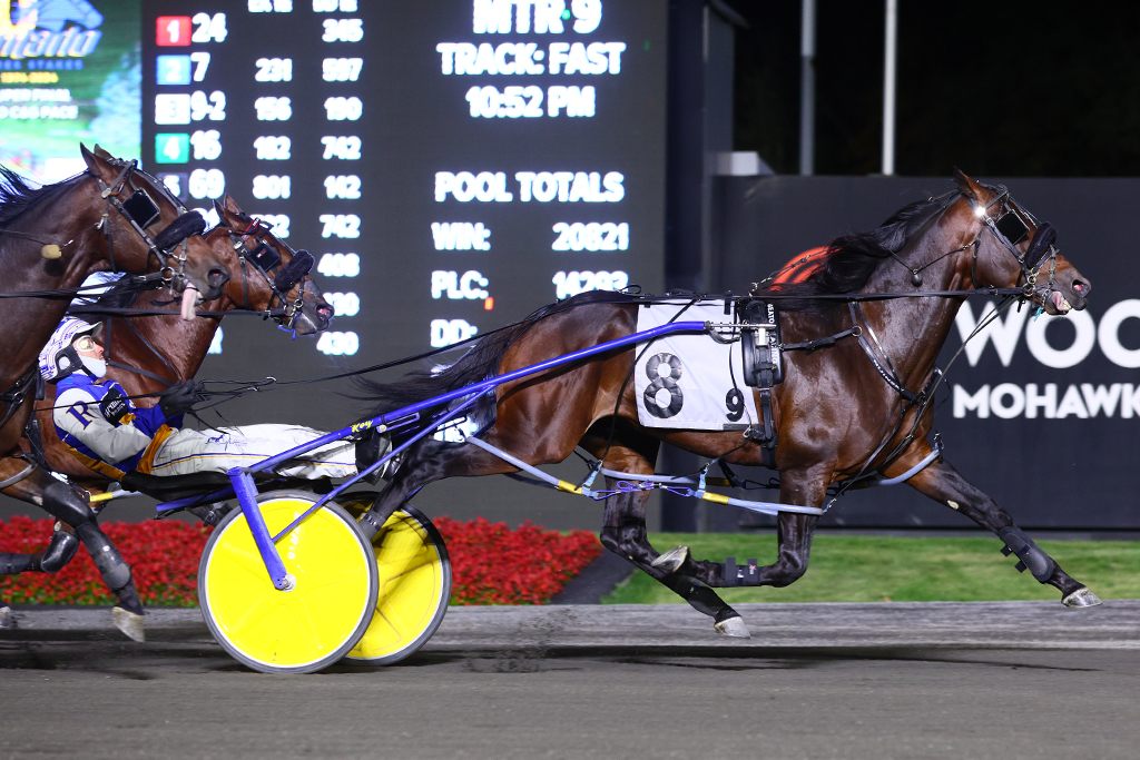 Nijinsky roars back to claim three-year-old pacing colt OSS Gold Super Final