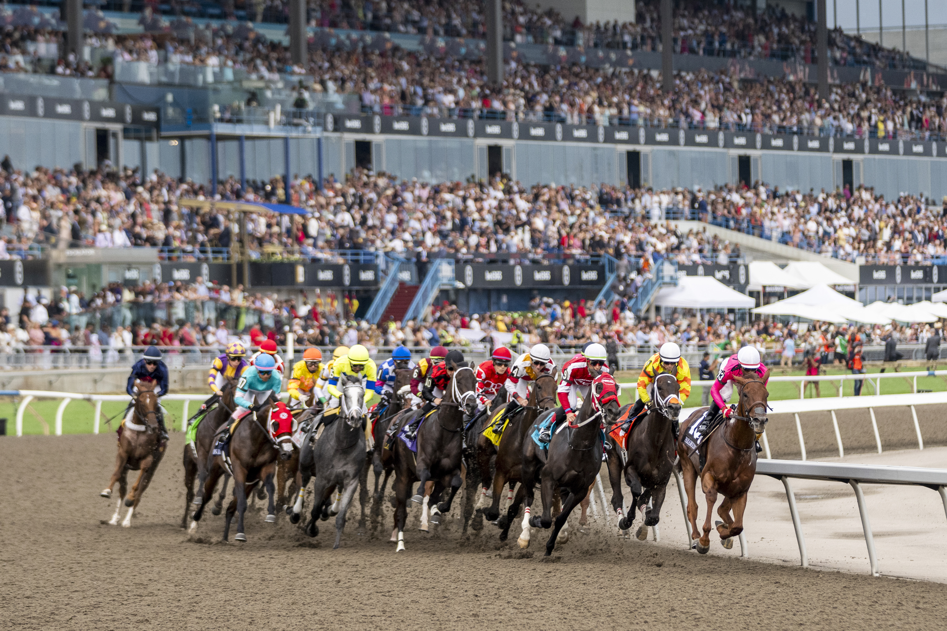 Ontario Racing welcomes Canadian Thoroughbred Horse Society as a member