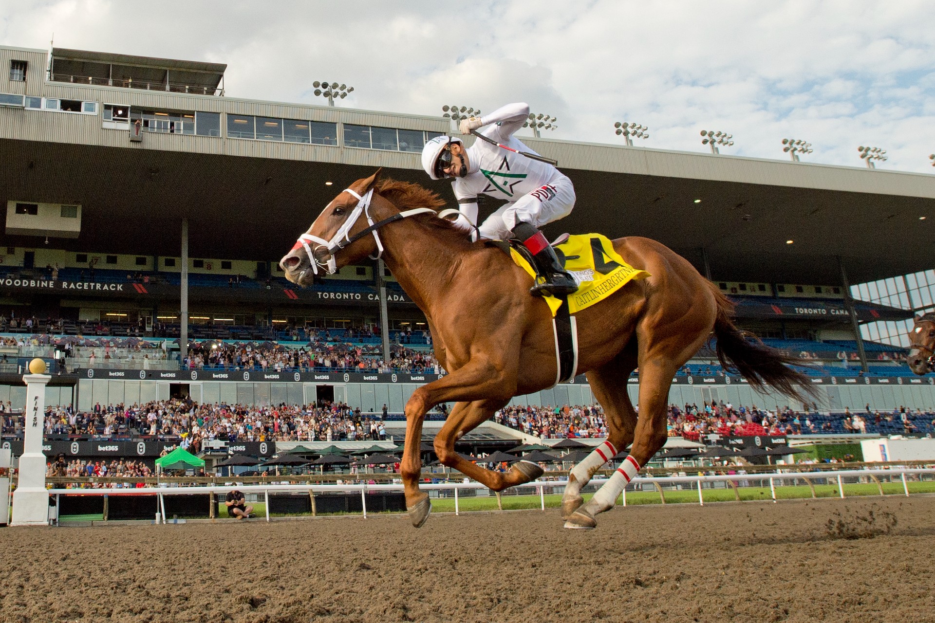 Caitlinhergrtness beats the boys in King’s Plate