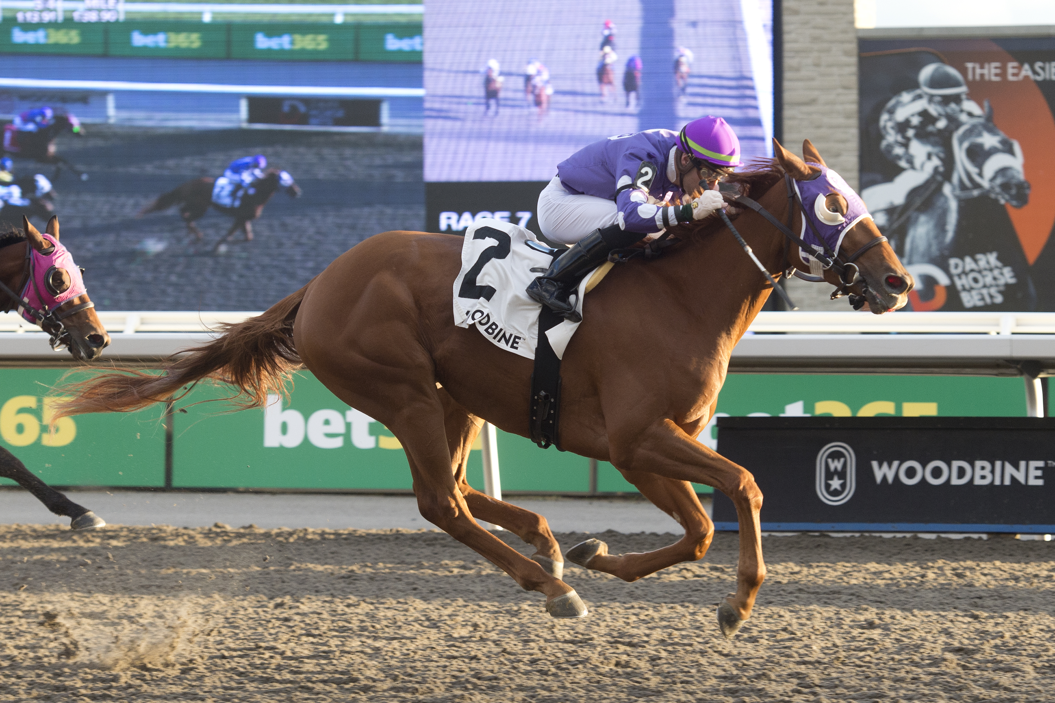 Jim's Hope Makes Winning Stakes Debut In $100,000 Lake Ontario