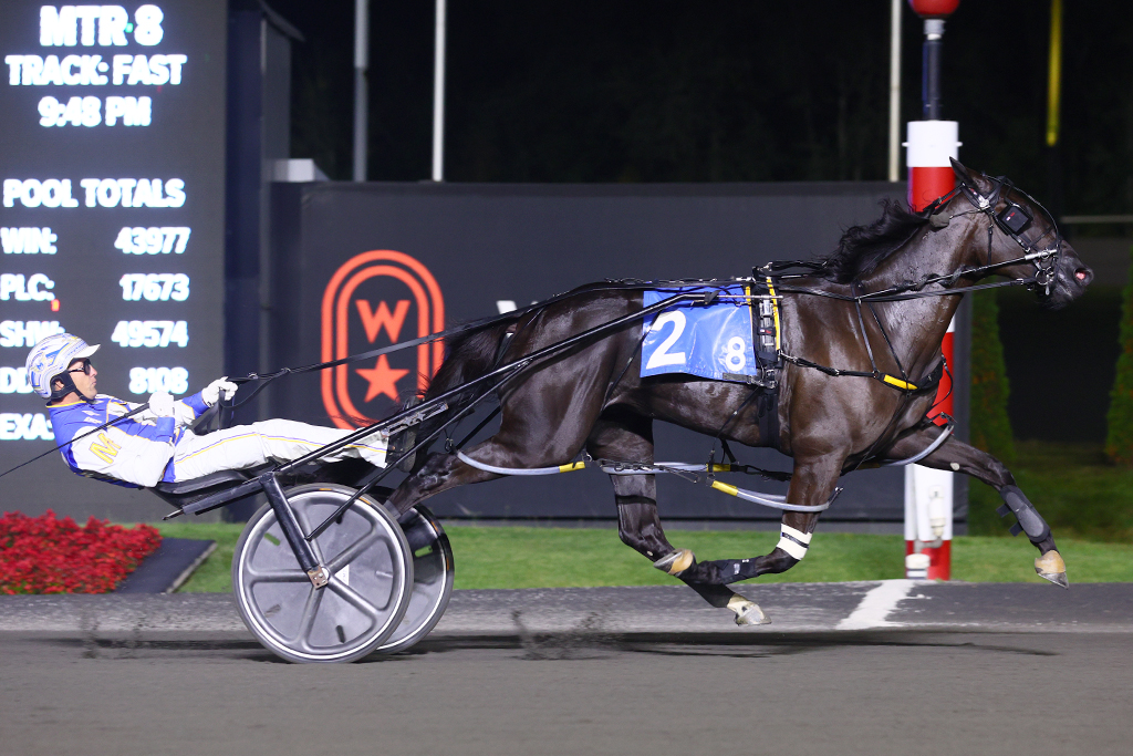 Undefeated filly Chantilly primed to take on the boys in the Pepsi North America Cup