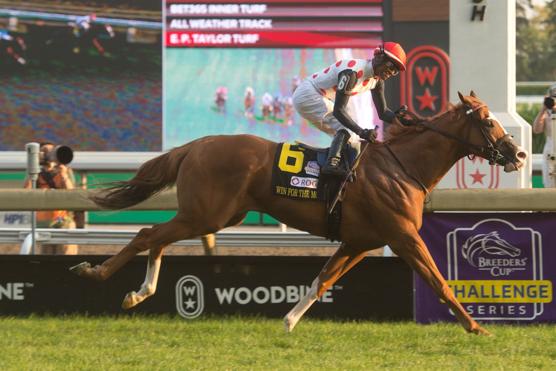 Win for the Money is money in Grade 1 Rogers Woodbine Mile