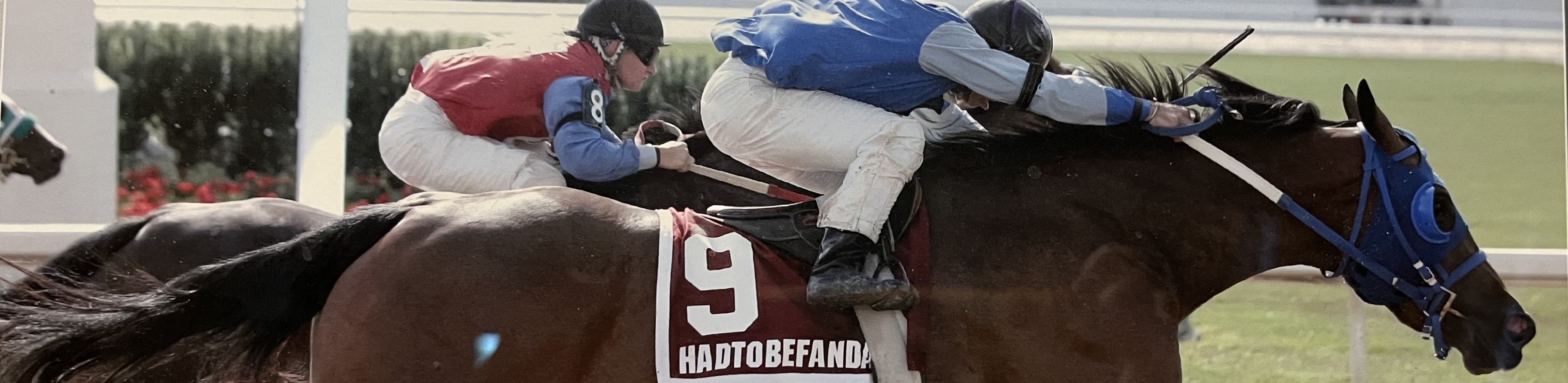 How a single raise of the hand led to four AQHA Canadian Racehorse of the Year awards in seven years