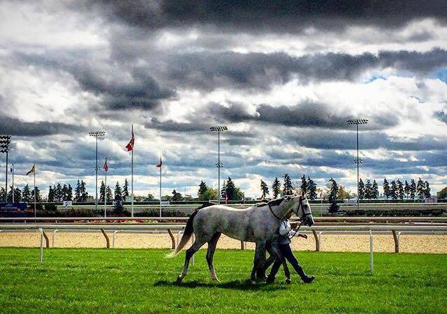 Photo: The Winning Walk Home