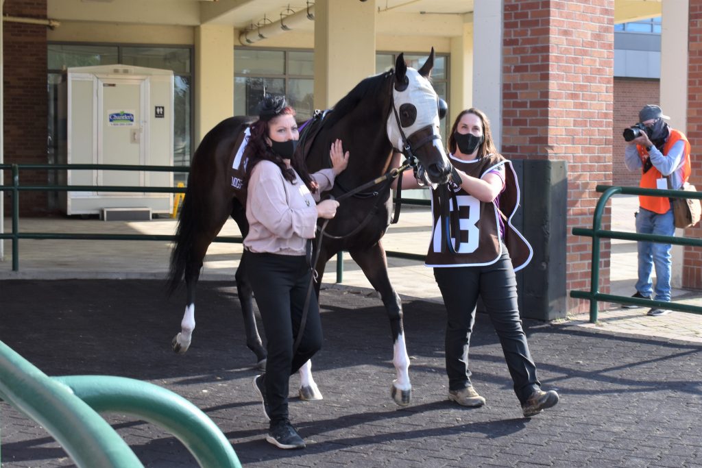The Pep-Talking Groom, Willy, and a Queen’s Plate Crown