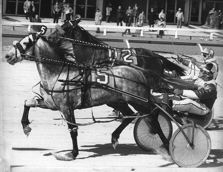 The striking roan son of Meadow Gene, Double Gene (5) with Wes Coke in the sulky starred as both a two- and three-year-old in 1977.
