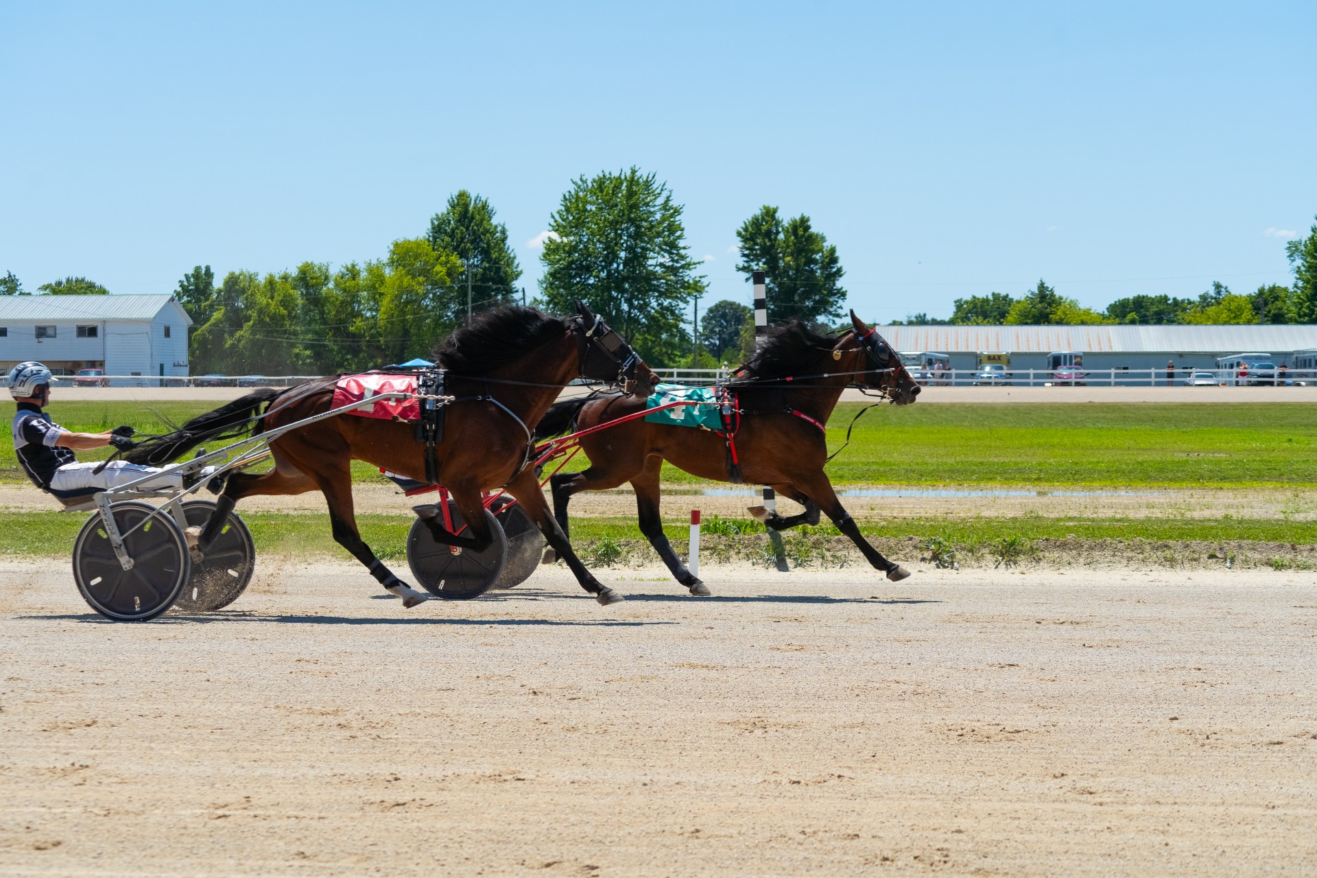 Slayin Theday Away winning Race 1 at Dresden Raceway on Monday, July 1, 2024 (Cam Sinasac)