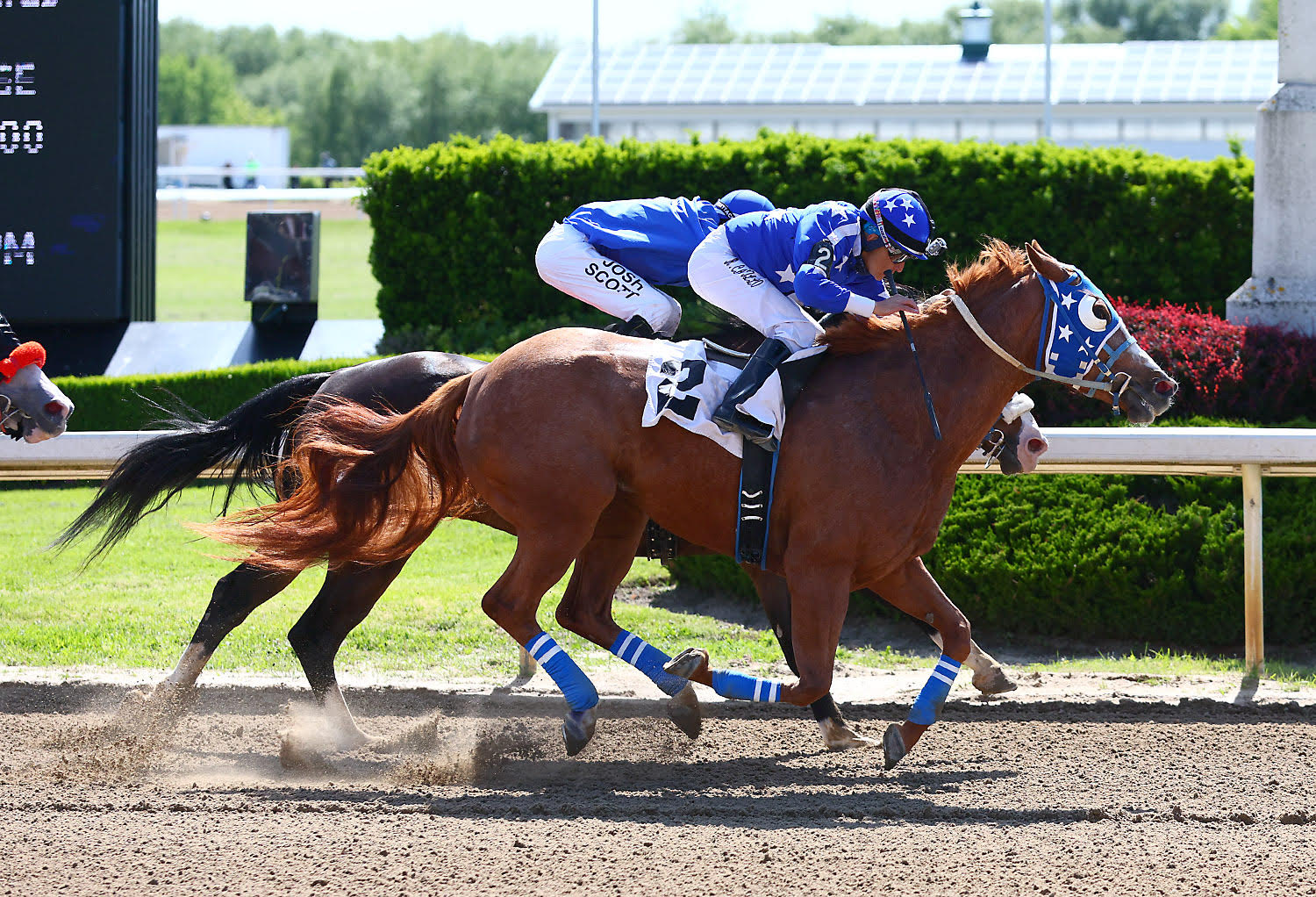 Quarter Horse mare Jess A Deal wins thriller in Battle of the Breeds